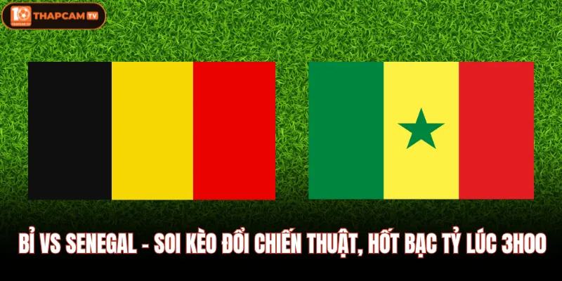 Bỉ Vs Senegal - Soi Kèo Đổi Chiến Thuật, Hốt Bạc Tỷ Lúc 3h00