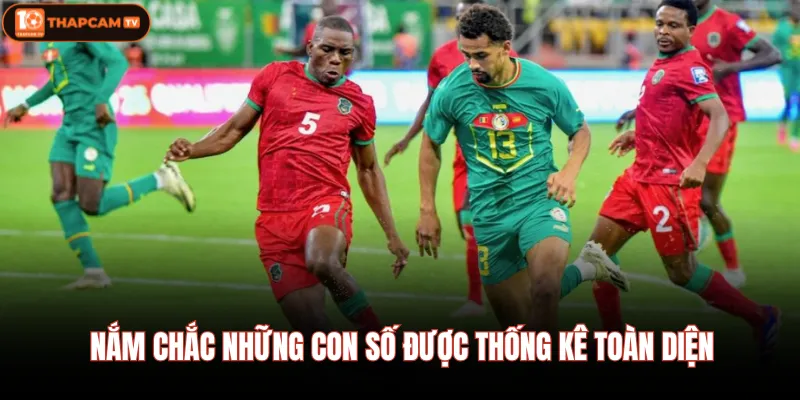 Nắm chắc những con số được thống kê toàn diện
